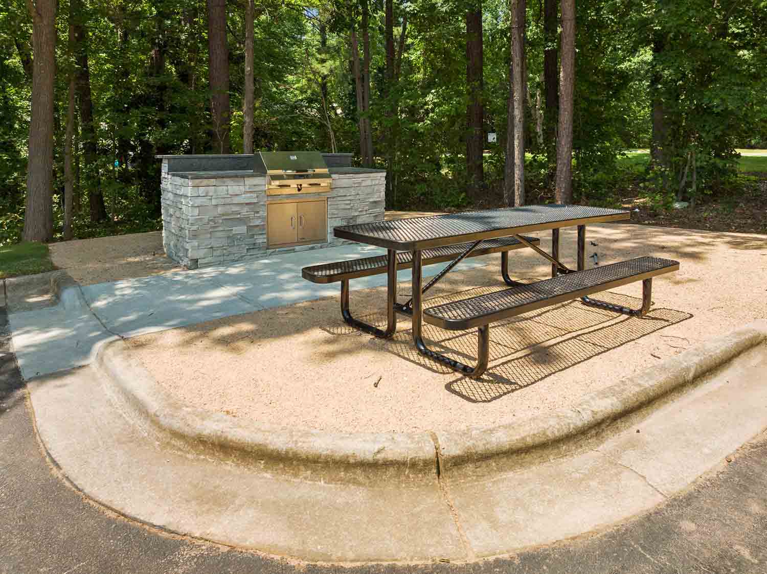Blue hill grill area and picnic table